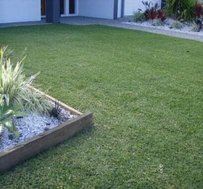 A Lush Green Lawn — Barron River Lawns In Biboohra, QLD