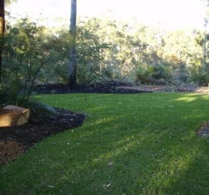 A Lush Green Lawn With Trees In The Background — Barron River Lawns In Biboohra, QLD