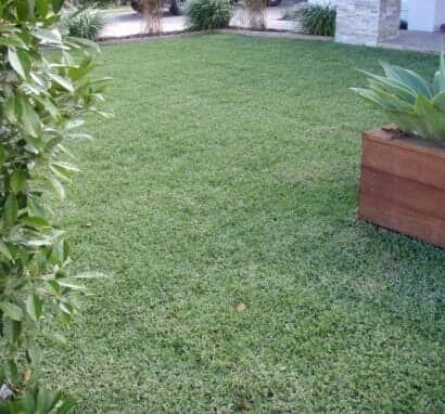 A Lush Green Lawn With A Wooden Planter — Barron River Lawns In Biboohra, QLD