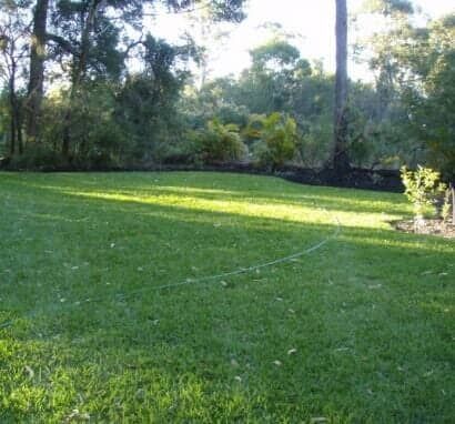 A Lush Green Lawn With Trees In The Background — Barron River Lawns In Biboohra, QLD