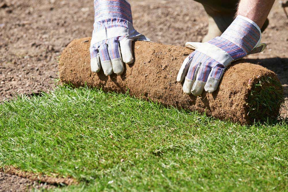 A Roll Of Turf Is Being Rolled On Top Of A Pile Of Dirt — Barron River Lawns In Babinda, QLD