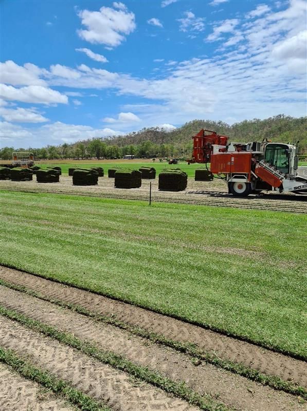A Tractor Is Cutting Grass In A Field — Barron River Lawns In Biboohra, QLD