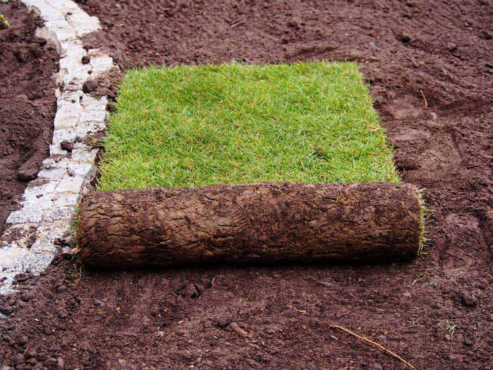 A Roll Of Grass Is Sitting On Top Of A Pile Of Dirt — Barron River Lawns In Mossman, QLD