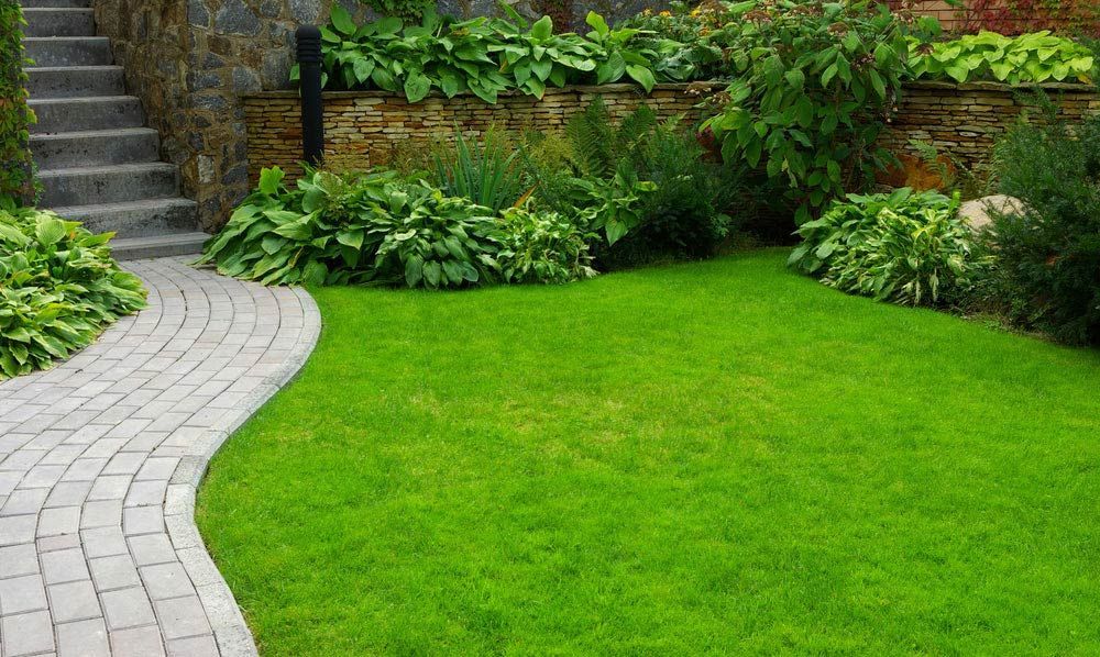 A Brick Walkway Leading To A Lush Green Lawn — Barron River Lawns In Yungaburra, QLD