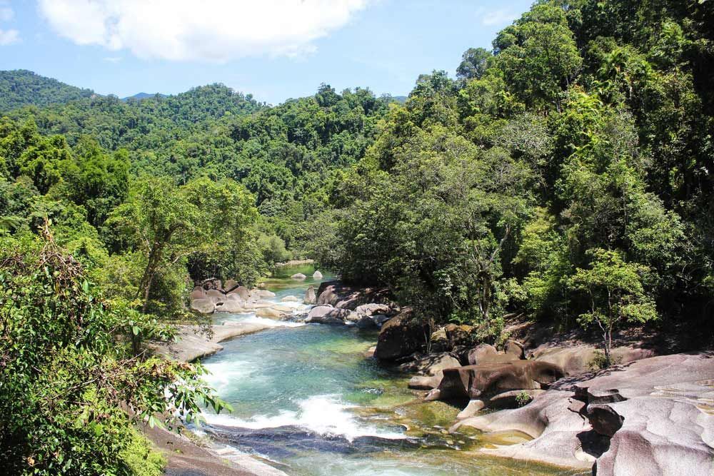 A River Flowing Through A Lush Green Forest — Barron River Lawns In Babinda, QLD