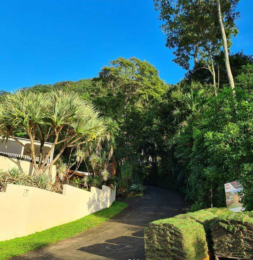 A Dirt Road Going Through A Lush Green Forest — Barron River Lawns In Biboohra, QLD