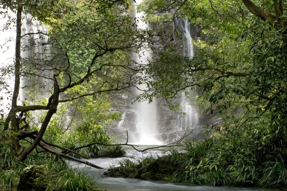 A Waterfall Is Surrounded By Trees In The Middle Of A Forest — Barron River Lawns In Gordonvale, QLD
