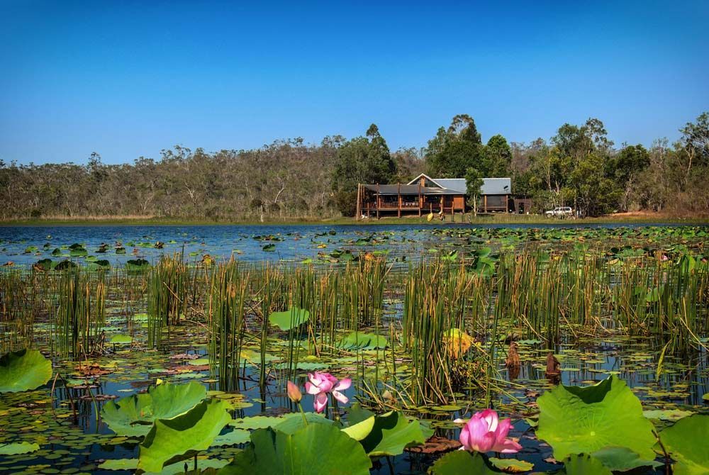 A House Is Sitting On The Shore Of A Lake Surrounded By Lily Pads — Barron River Lawns In Mareeba, QLD