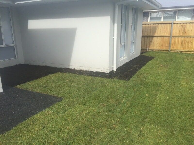 A Backyard of a House with a Lush Green lawn and a Wooden Fence — Boambee Turf In Bonville, NSW