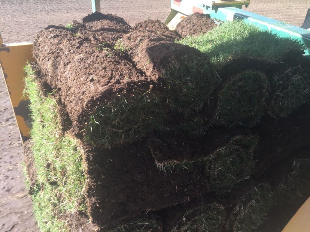 A Pile of rolls of Grass Sitting on top of Each other — Boambee Turf In Bonville, QLD	