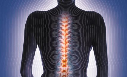 Image of a black body with spine in orange