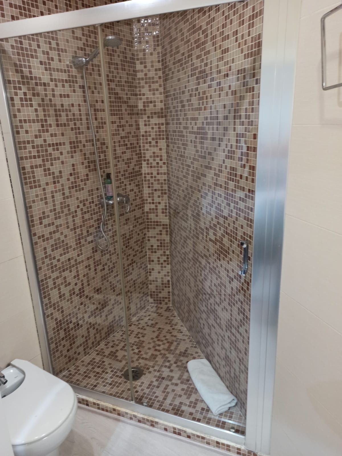 A bathroom with a walk in shower and a toilet