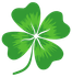 Green four-leaf clover with white stem on a white background.