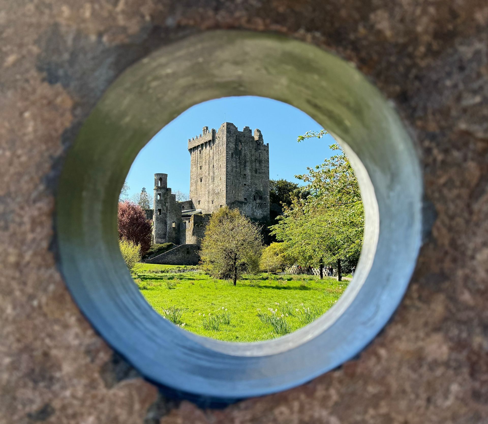 Blarney Castle seen from the gardens on a private tour from Cork