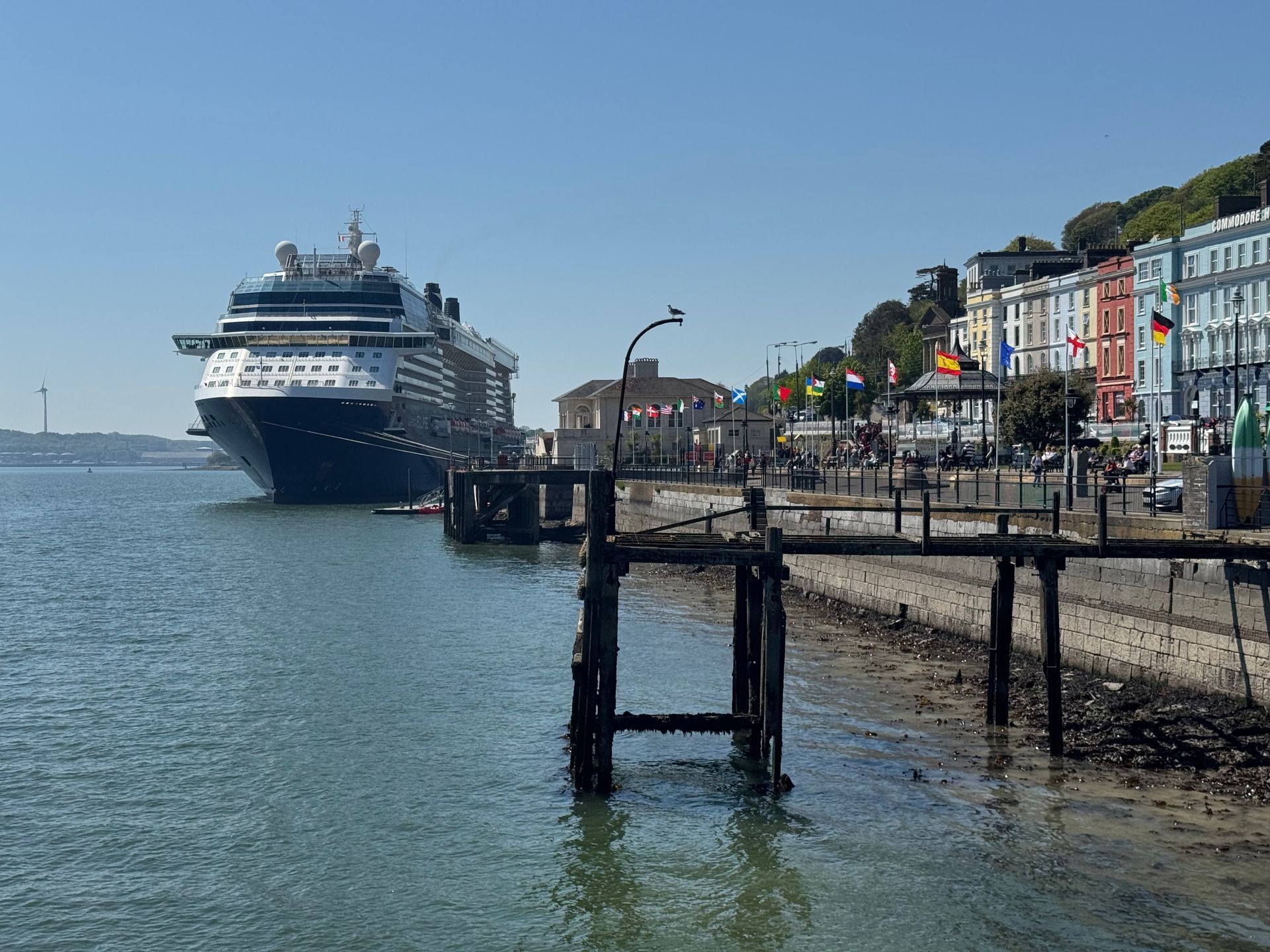 A luxury cruise ship docked in the colorful harbor of Cobh, Ireland.