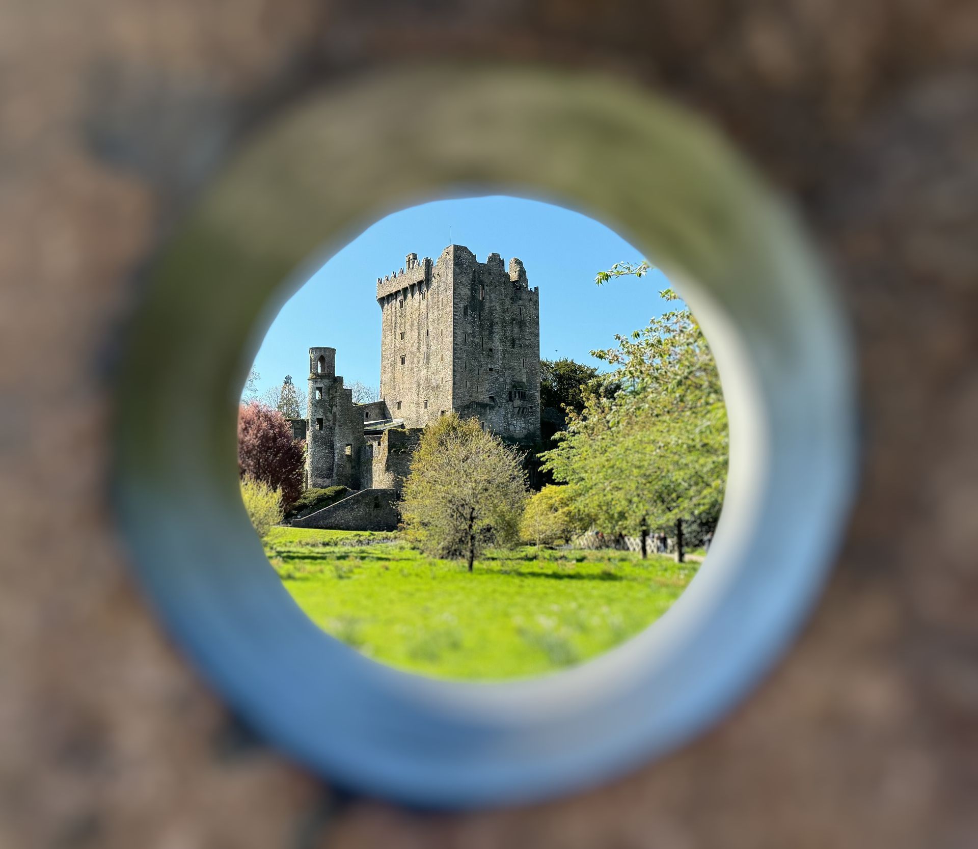 The iconic Blarney Castle tower house surrounded by lush green Irish landscape