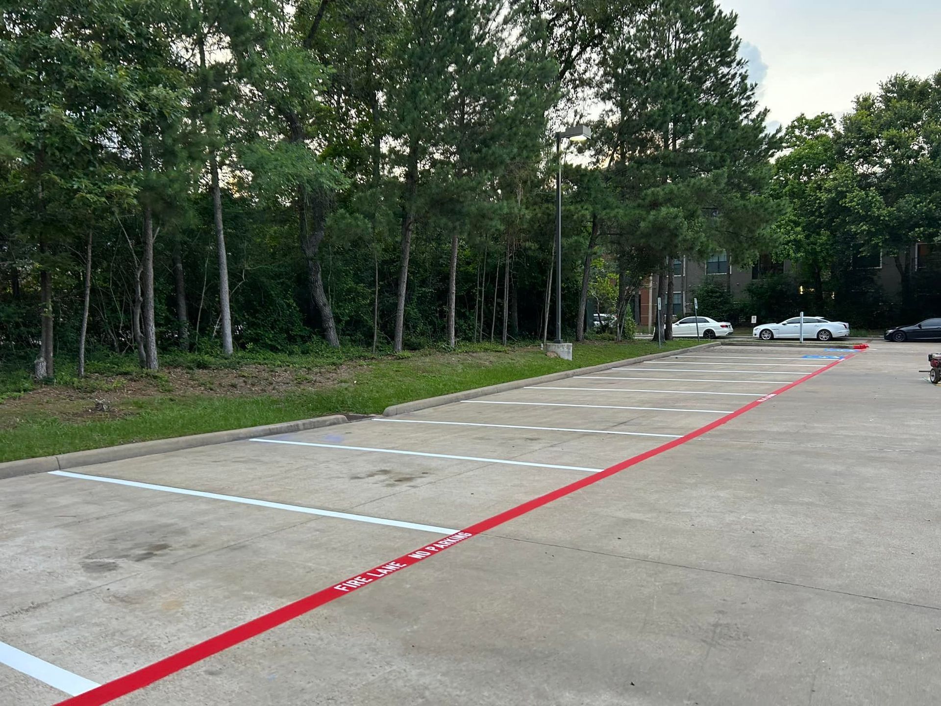Empty parking lot with painted lines, a red curb, and trees in the background.