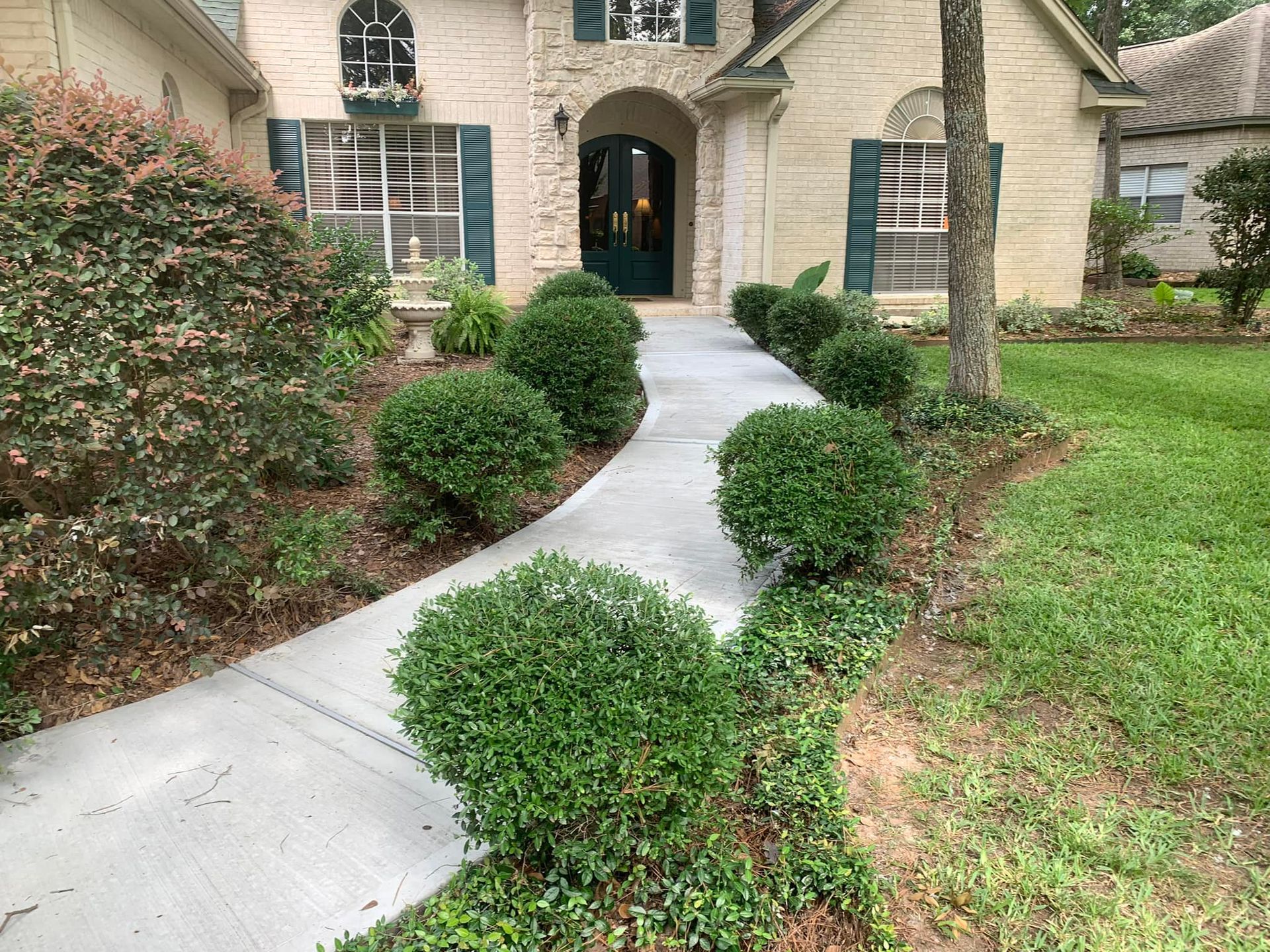 Concrete walkway lined with green bushes leading to a house with a dark doorway.