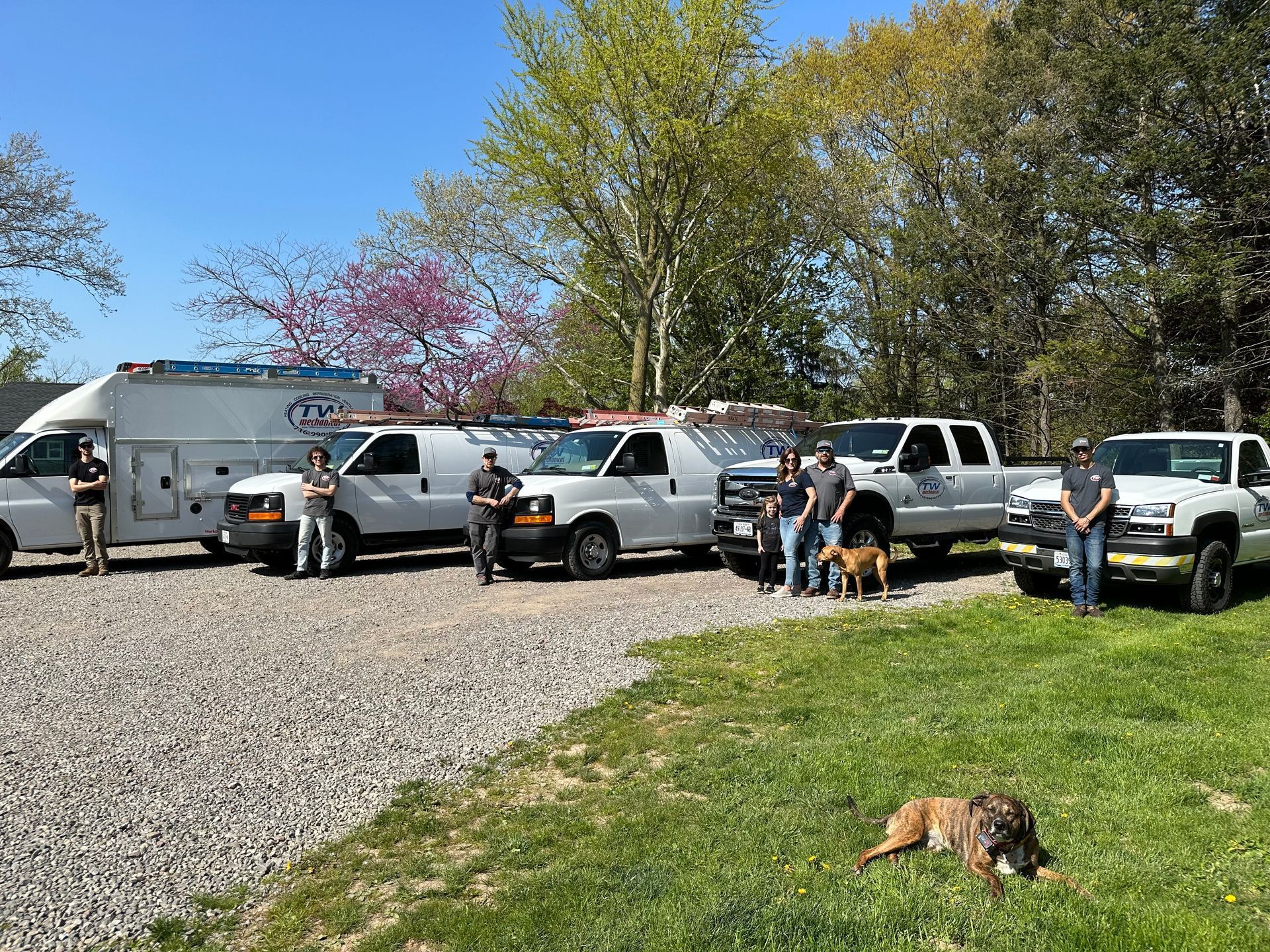 Gallery
HVAC near me 
furnace repair 
heating and cooling
heating and cooling services
emergency HVAC repair
Niagara Falls HVAC 
Niagara Falls HVAC repair 
Niagara Falls HVAC contractor 
Buffalo HVAC repair 
Buffalo HVAC contractor
Buffalo HVAC 
commercial HVAC