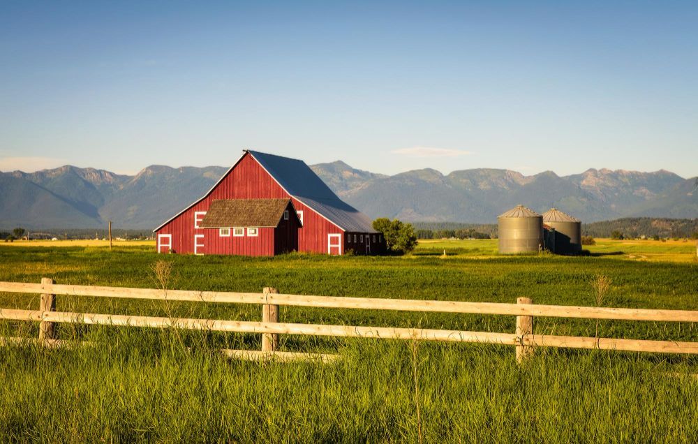 A red barn is sitting in the middle of a grassy field.