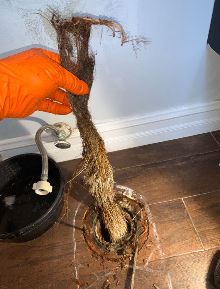 A person wearing orange gloves is holding a drain with roots sticking out of it.