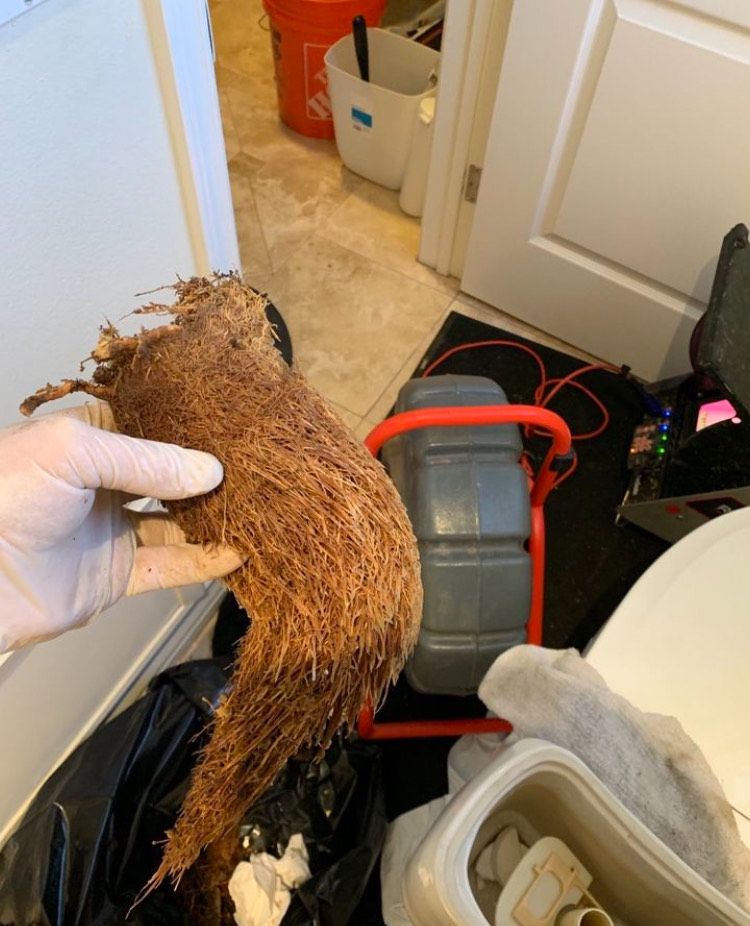 A person is holding a large piece of wood in their hand