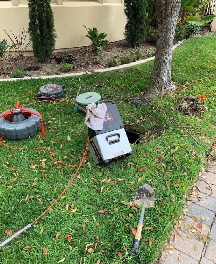 A box with the number 10 on it is sitting in the grass next to a tree.