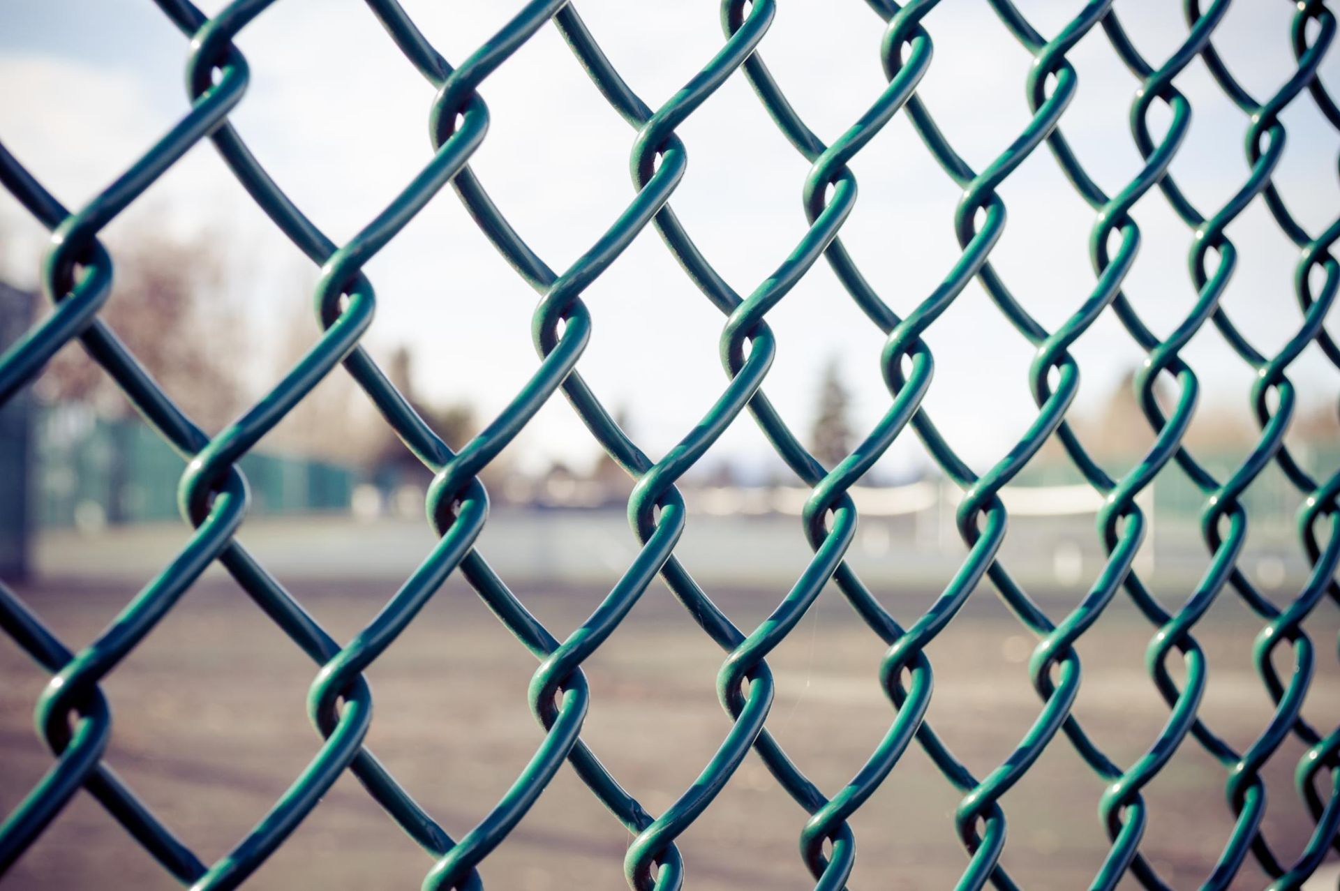 Green chain-link fence, close-up with a blurred background of a park or field.