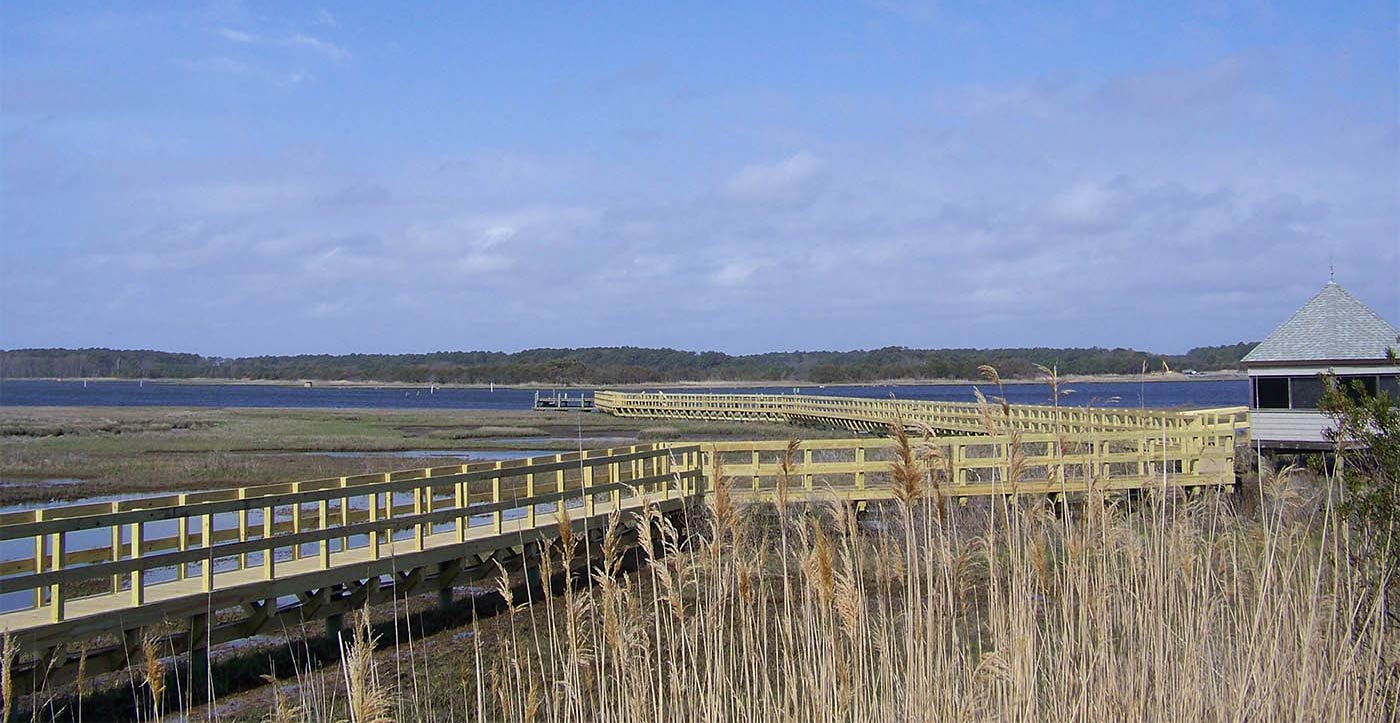 Long pier over marsh land
