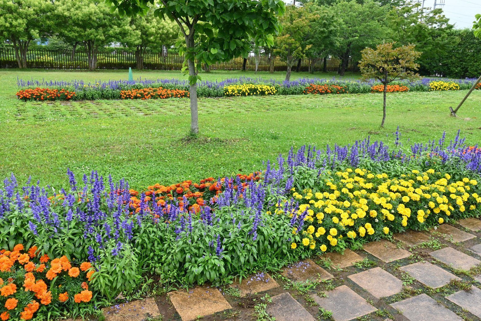 Person holding a black filter, replacing it next to an orange fuel filter housing on machinery.