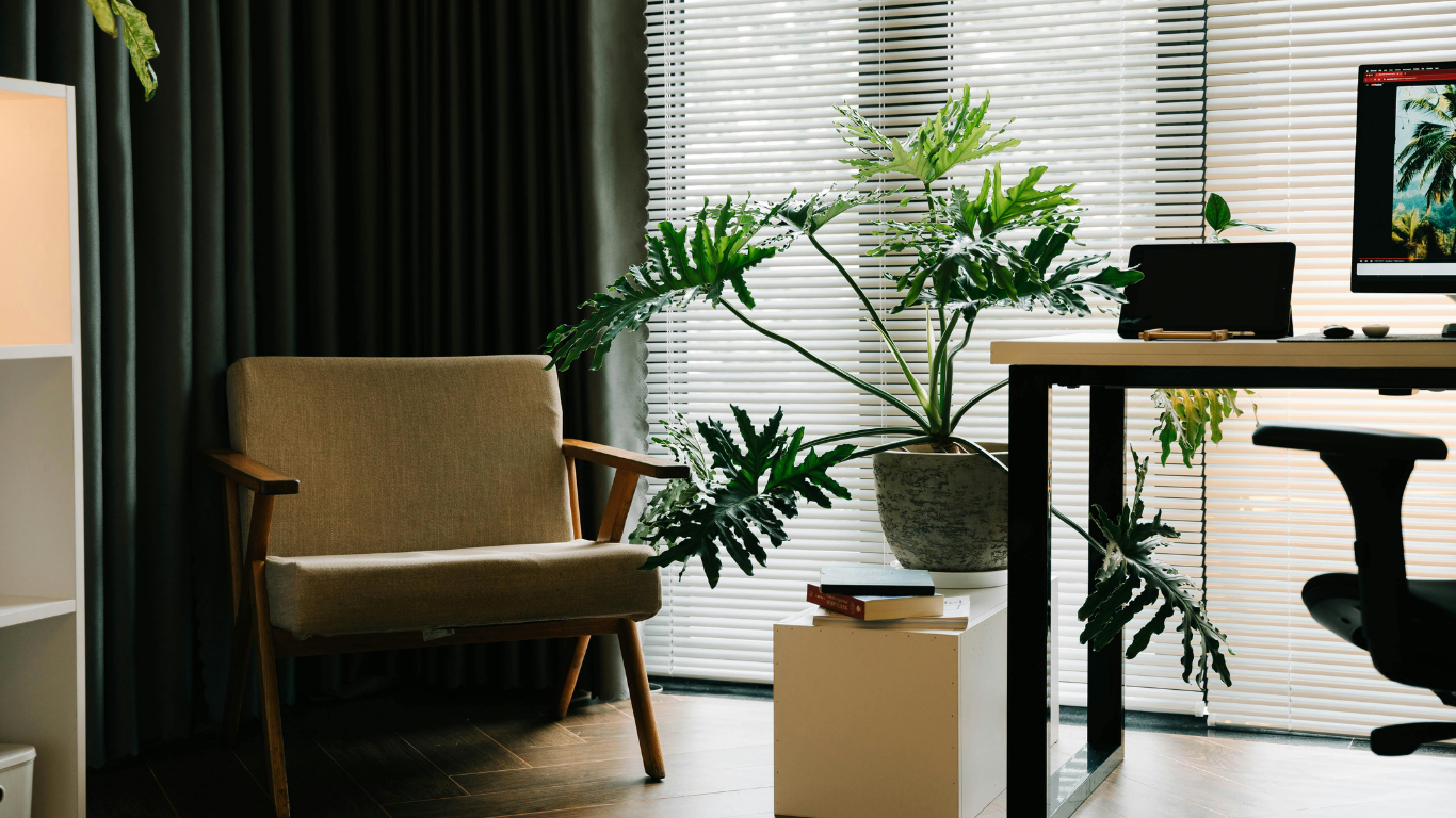 A modern home office featuring an armchair, a desk with a monitor, and a large potted plant near a window with blinds.