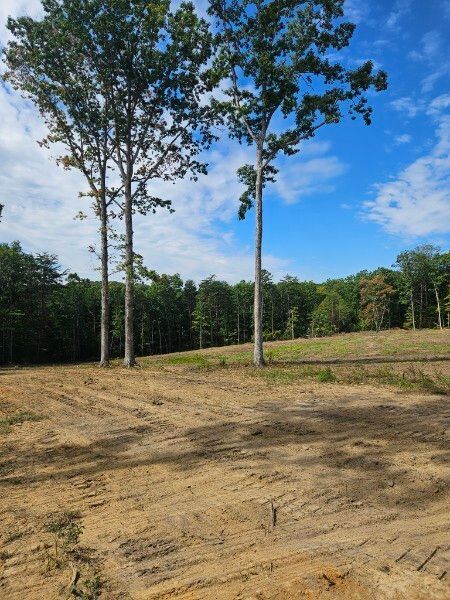 A dirt field with trees in the background and a blue sky