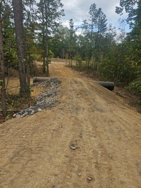 A dirt road in the middle of a forest with trees on both sides.
