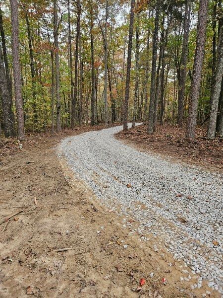 A gravel road in the middle of a forest.