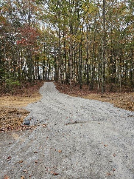 A dirt road going through a forest with trees on both sides.