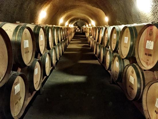 wine cave lighting napa ca