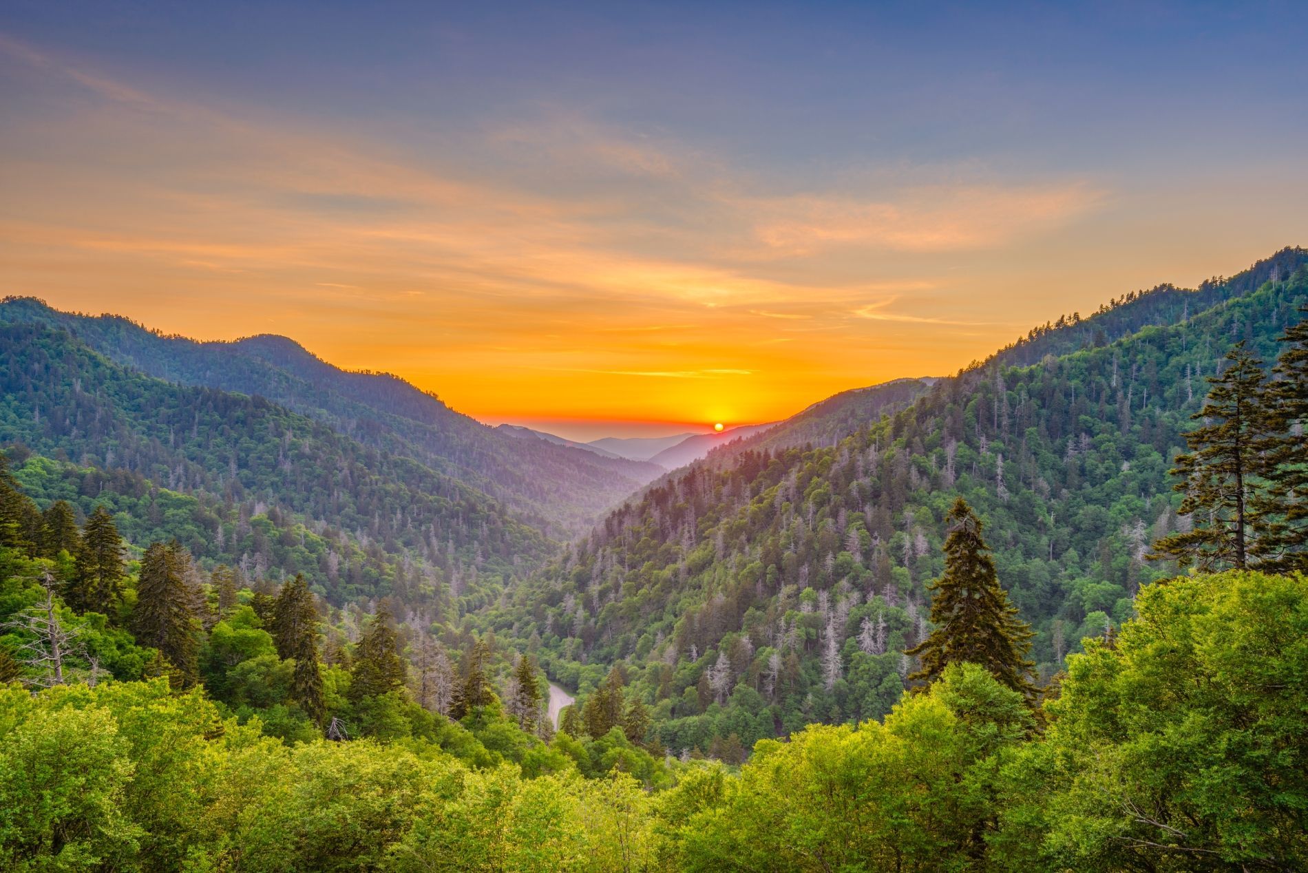 Sunrise over a lush mountain valley, with green trees and a vibrant orange sky.