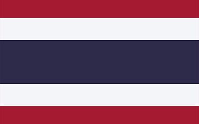 The flag of thailand is a red , white , and blue striped flag.