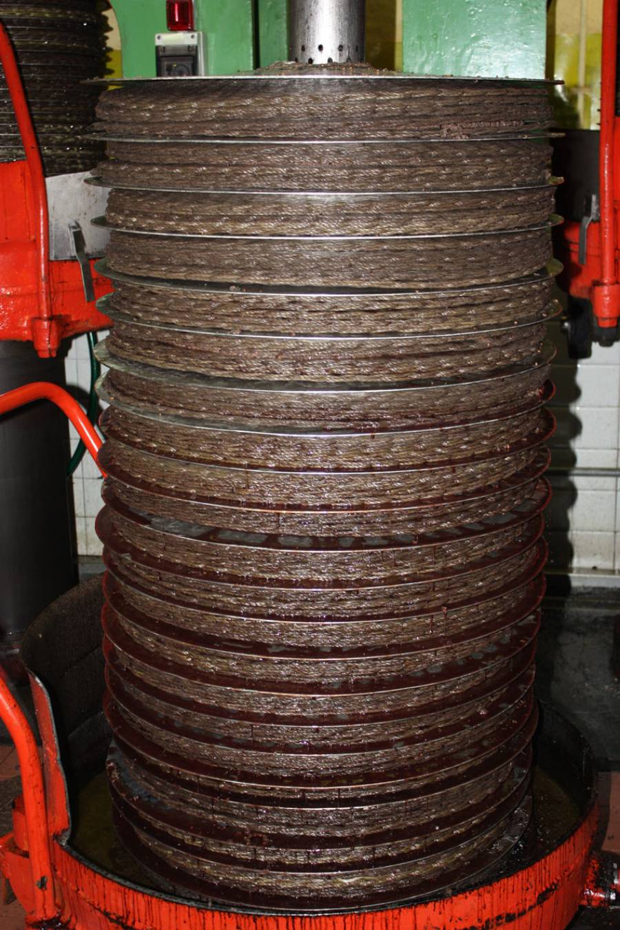 spremitura a freddo dell'olio di oliva