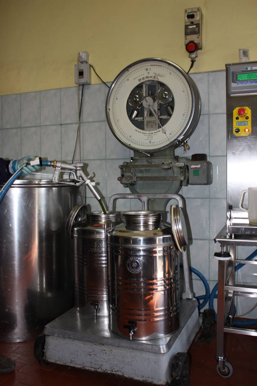 conservazione dell'olio di oliva