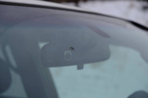 Chip on Car Windshields — Saint Joseph, MO — Render Auto Glass Inc.