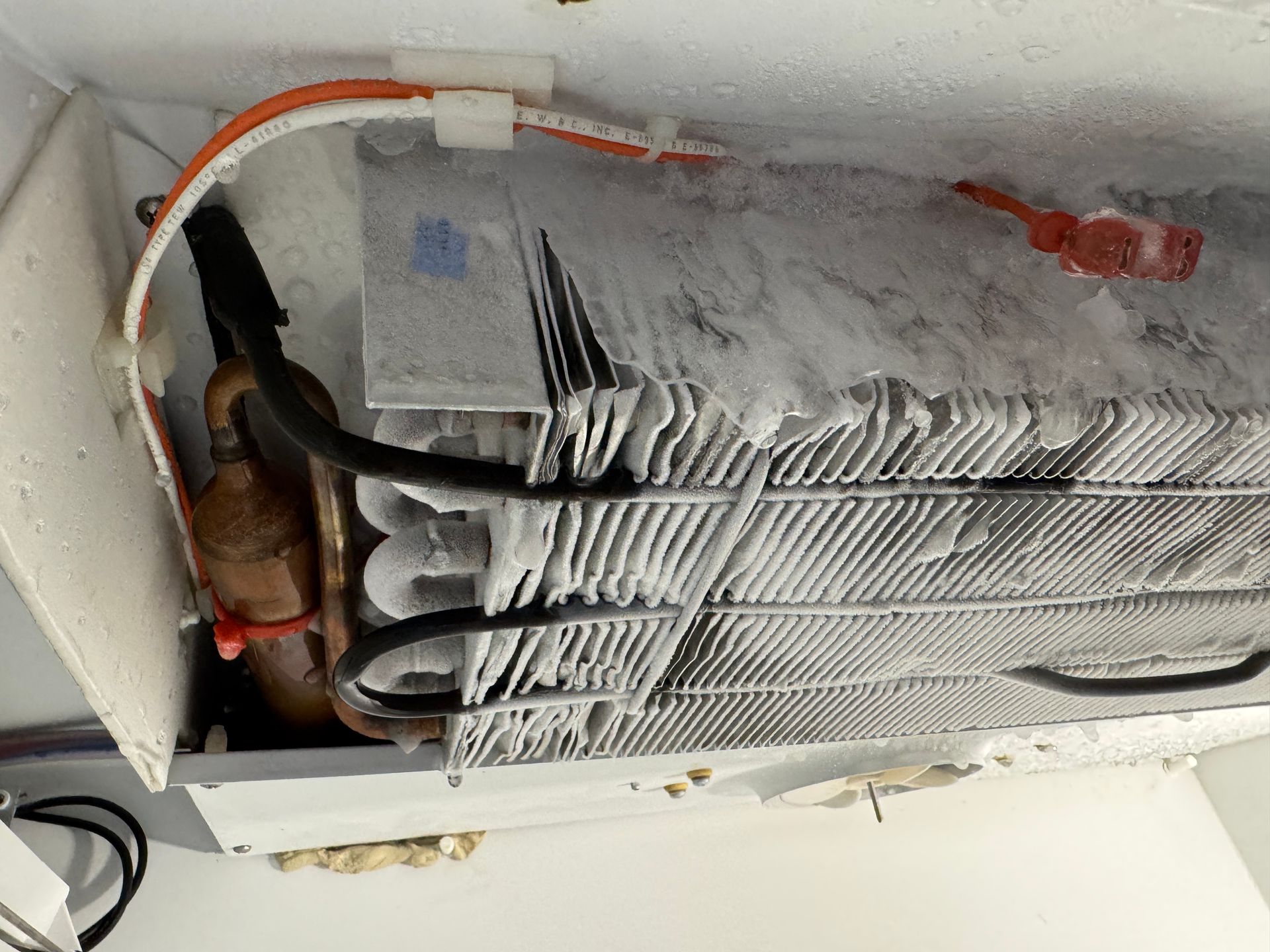 Inside refrigerator: Iced-over cooling coils, wires, and components, heavy frost build-up indicates a defrost issue.