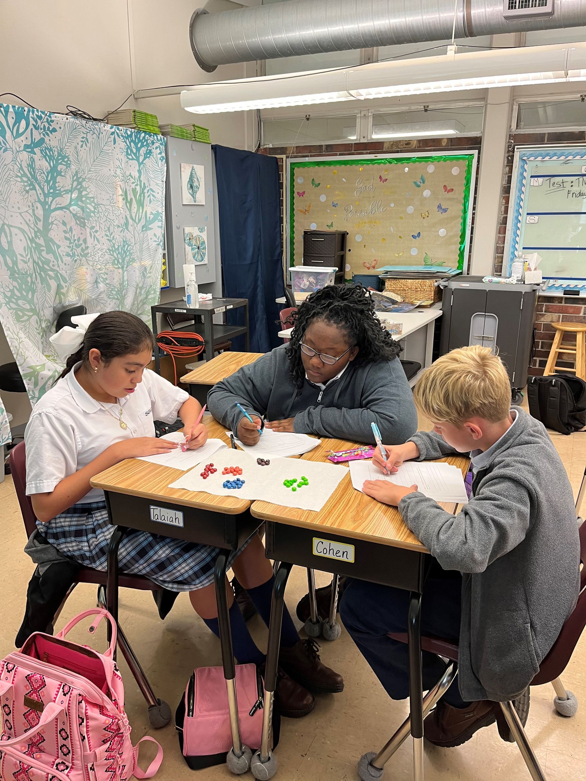 A group of children in school uniforms are posing for a picture