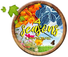 4 Seasons Lawn Care 4 Seasons Lawn Care