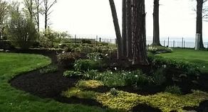 Garden bed with trees and shrubs beside a grassy waterfront lawn under overcast light