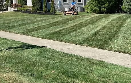 Mowed suburban lawn with diagonal stripes and a person riding a lawn mower near a house