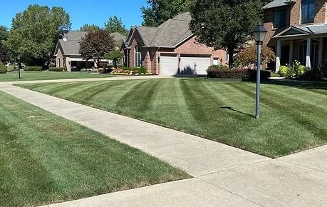 Suburban street with neatly mowed lawns, sidewalks, and houses under a clear blue sky