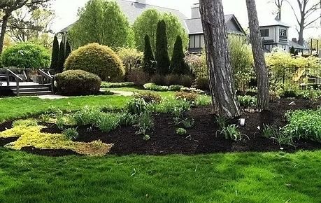 Landscaped garden with green lawn, shrubs, and trees beside a house