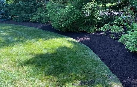Curved garden path beside a lush green lawn and shrubs in dappled sunlight