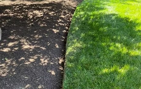 Gravel path beside a bright green lawn with dappled sunlight and shadows
